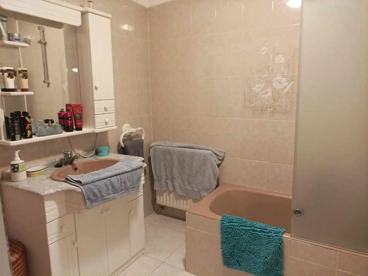 Casa o chalet en venta en Avenida Vizcaya, 16, Ayegui / Aiegi Baño de Casa o chalet en venta en Ayegui / Aiegi con Aire acondicionado, Terraza y Piscina