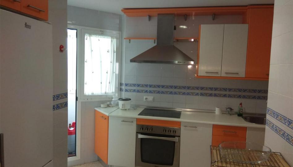 Piso de alquiler en Calle Huerta del Rosario, 12, La Banda - Campo de Fútbol, Cádiz - imagen 1 Foto 1 de Piso de alquiler en Calle Huerta del Rosario, 12, La Banda - Campo de Fútbol, Cádiz