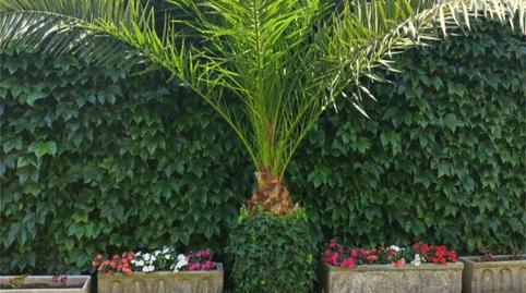 Casa o chalet en venta en Travessera Passeig Vilaret, 21, Cassà de la Selva, Girona - imagen 2 Foto 2 de Casa o chalet en venta en Travessera Passeig Vilaret, 21, Cassà de la Selva, Girona