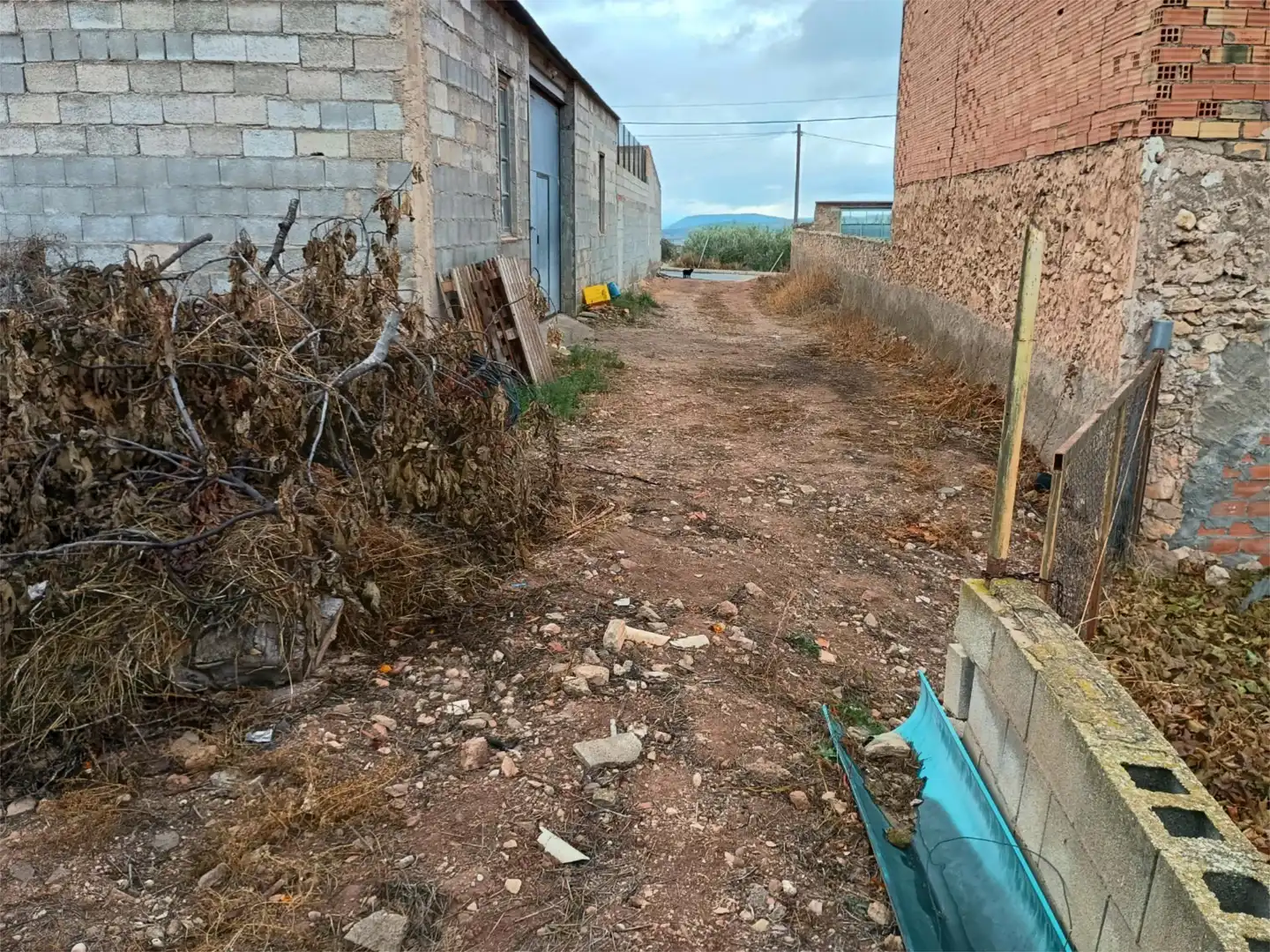Detached homes for sale in Tobarra