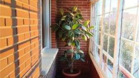 Photo 4 of Flat to rent in El Torreón - Los Ángeles - El Pilar, Ciudad Real Capital