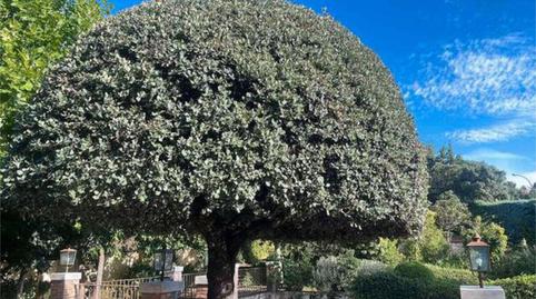 Single-family semi-detached for sale in Ciudalcampo, Madrid - image 5 Photo 5 of Single-family semi-detached for sale in Ciudalcampo, Madrid