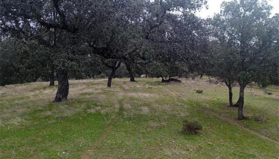 Casa adosada en venda a Fuente del Arco, Badajoz - imatge 1 Foto 1 de Casa adosada en venda a Fuente del Arco, Badajoz