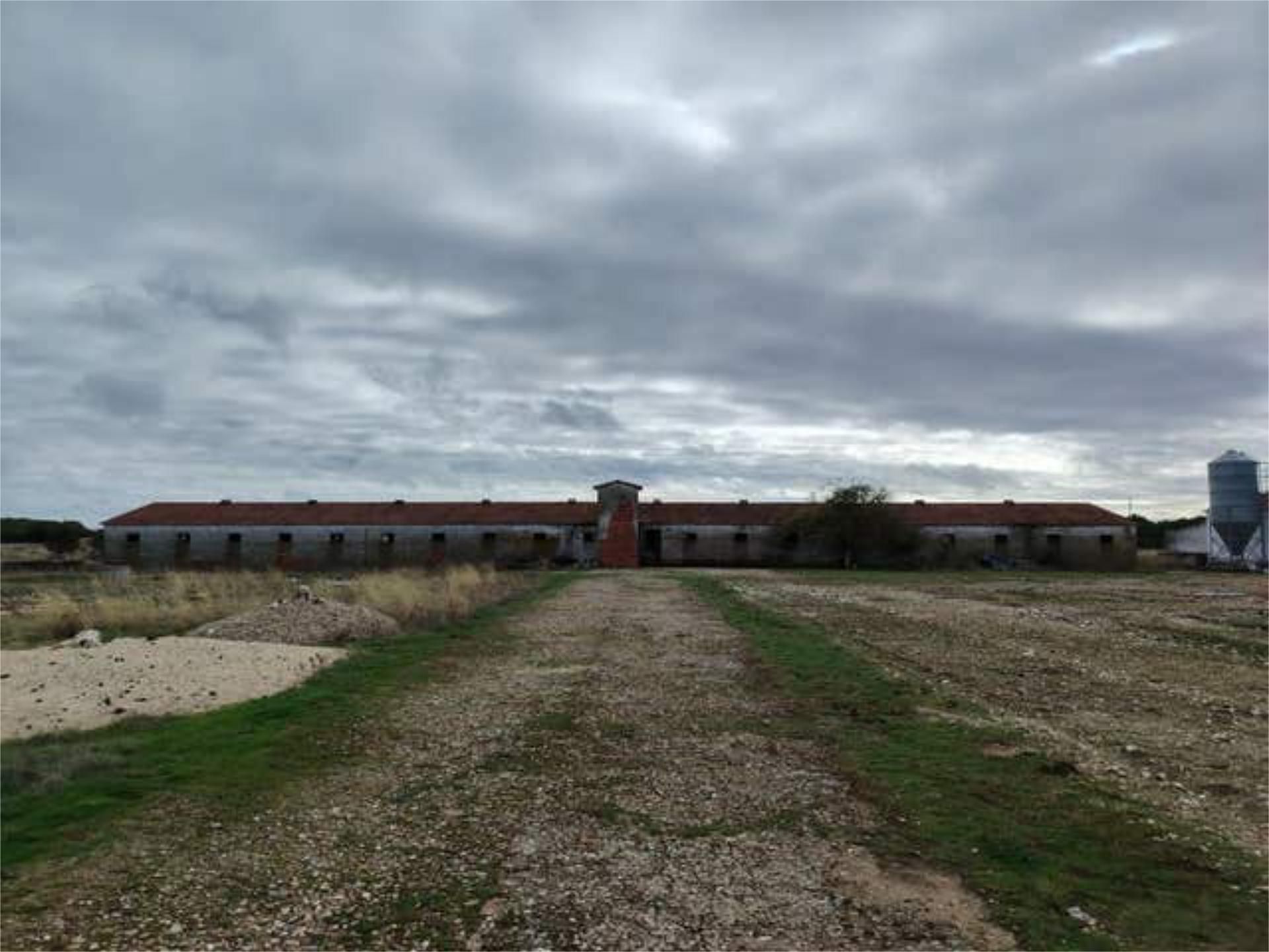 Exterior view of Industrial buildings for rent in Viloria