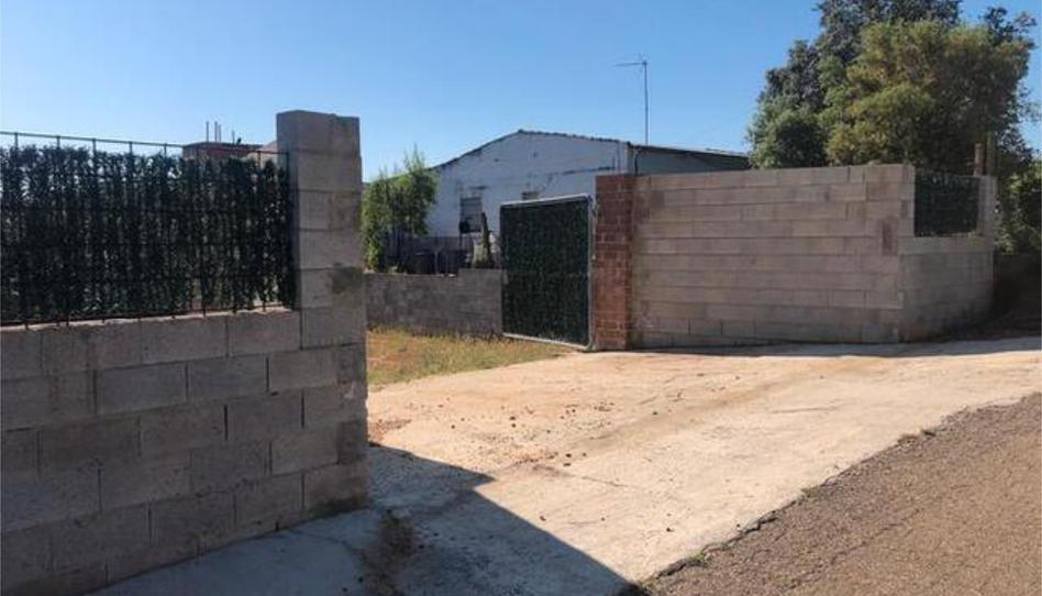 Single-family semi-detached for sale in Dehesilla de Calamón - Campomanes, Badajoz - image 1 Photo 1 of Single-family semi-detached for sale in Dehesilla de Calamón - Campomanes, Badajoz