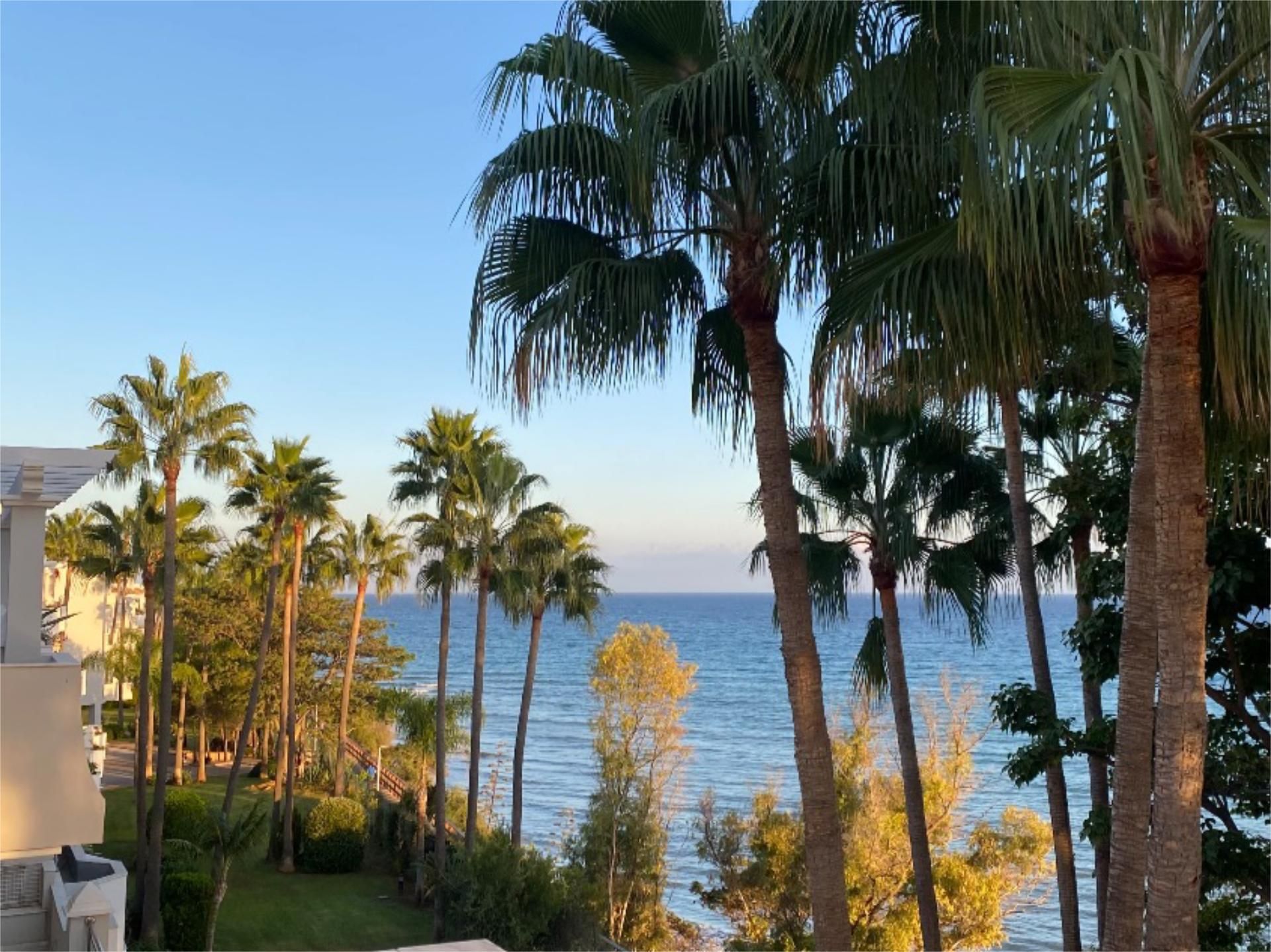 Vista exterior de Pis en venda en Estepona amb Aire condicionat, Terrassa i Piscina
