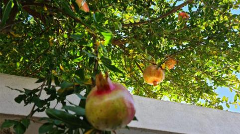 Casa o xalet de lloguer a Calle Huertecillas, 8, Villamena, Granada - imatge 3 Foto 3 de Casa o xalet de lloguer a Calle Huertecillas, 8, Villamena, Granada