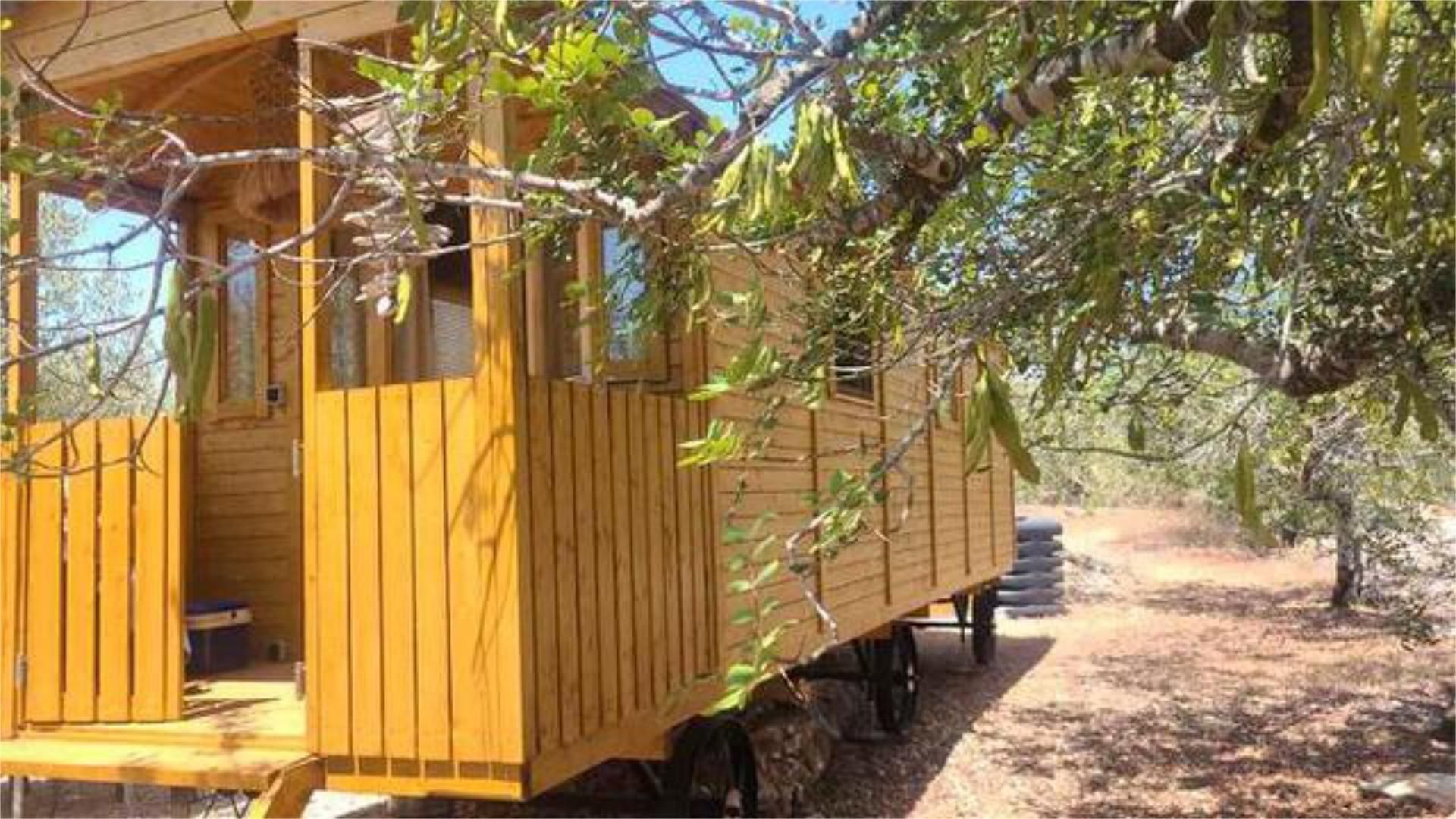 Garden of Single-family semi-detached for sale in L'Ametlla de Mar 