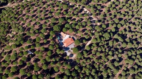 Country house for sale in Camino a Espiel, 53, Villaviciosa de Córdoba, Córdoba - image 2 Photo 2 of Country house for sale in Camino a Espiel, 53, Villaviciosa de Córdoba, Córdoba