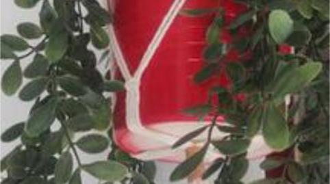 Foto 4 de Pis de lloguer a San Carlos - San José, Sevilla