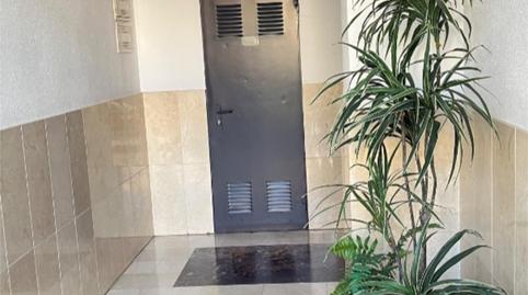 Foto 5 de Pis de lloguer a Avinguda Hispanitat, 2, Zona Nord, Alicante