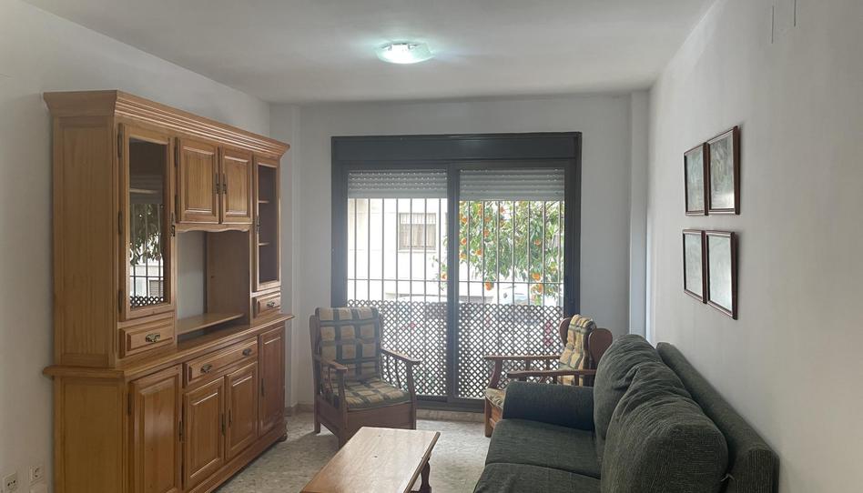 Pis de lloguer a Calle Doctor Rafael Ruiz-mateos, 3d, Chapín - Campus Universitario - Navinco, Cádiz - imatge 1 Foto 1 de Pis de lloguer a Calle Doctor Rafael Ruiz-mateos, 3d, Chapín - Campus Universitario - Navinco, Cádiz