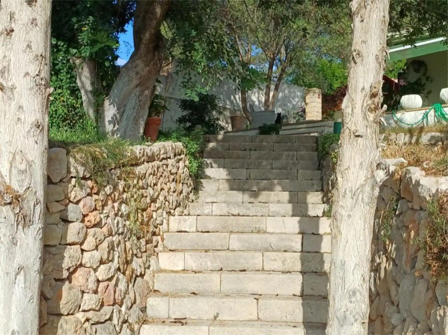 Country homes for sale in Camí Son Bauçanet, 23, Establiments