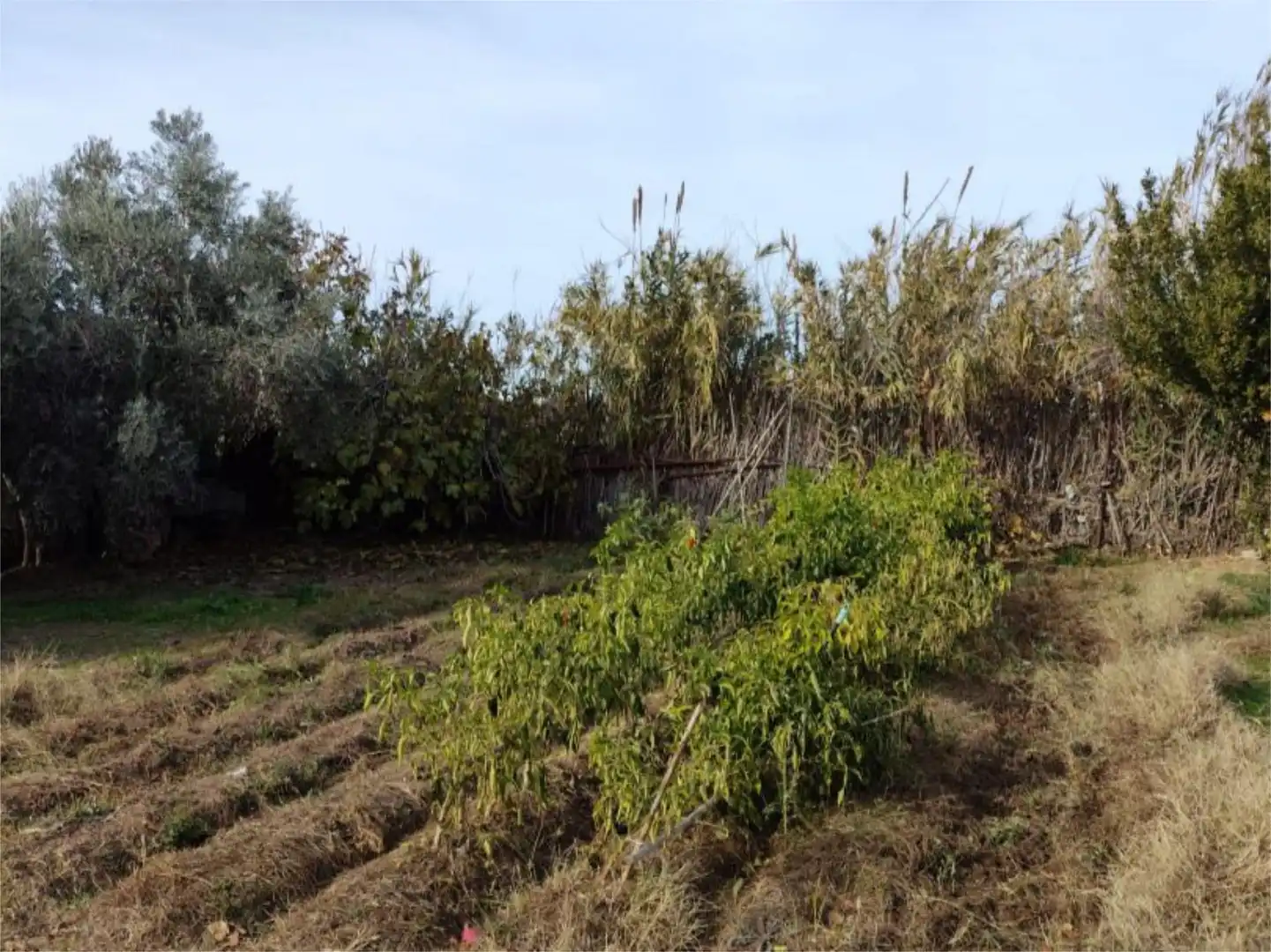 Casa o xalet en venda a Camino de Cascajales, 23, Las Fuentes Casa o xalet en venda en Zaragoza Capital