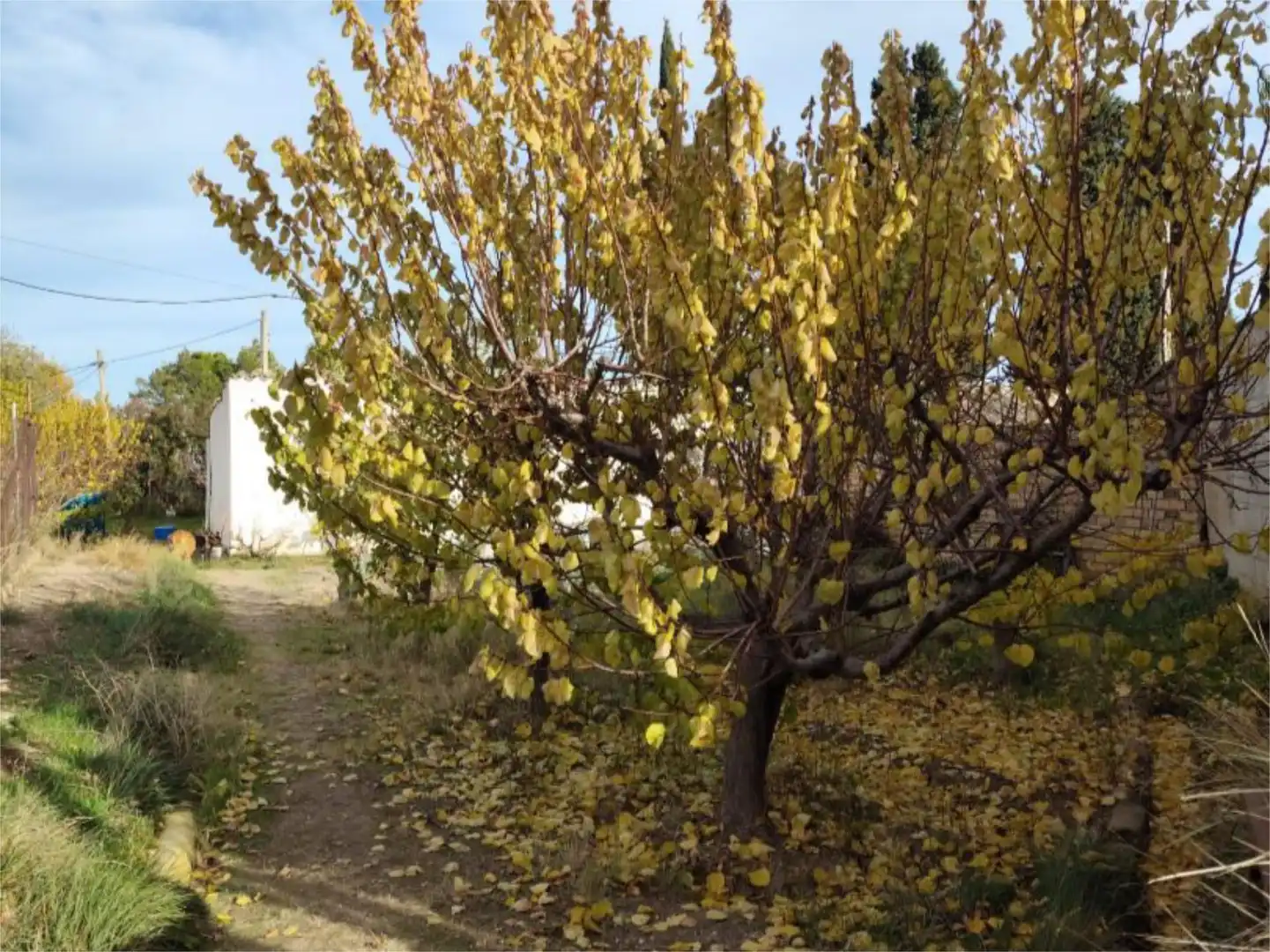 Casa o xalet en venda a Camino de Cascajales, 23, Las Fuentes Jardí de Casa o xalet en venda en Zaragoza Capital