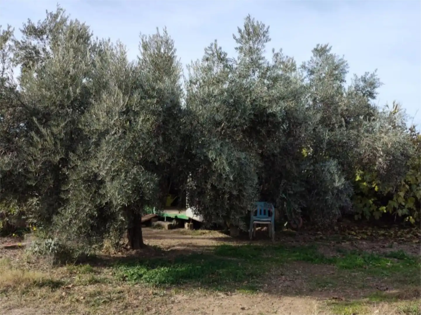 Casa o xalet en venda a Camino de Cascajales, 23, Las Fuentes Jardí de Casa o xalet en venda en Zaragoza Capital
