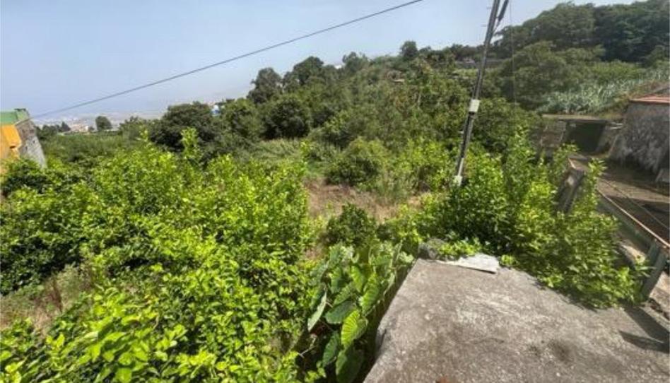 Casa adosada en venda a Palo Blanco, Santa Cruz de Tenerife - imatge 1 Foto 1 de Casa adosada en venda a Palo Blanco, Santa Cruz de Tenerife