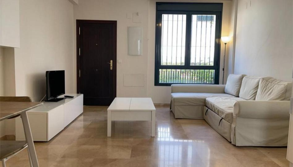 Piso de alquiler en Calle Abejar, 24, Casco Histórico - Ribera - San Basilio, Córdoba - imagen 1 Foto 1 de Piso de alquiler en Calle Abejar, 24, Casco Histórico - Ribera - San Basilio, Córdoba