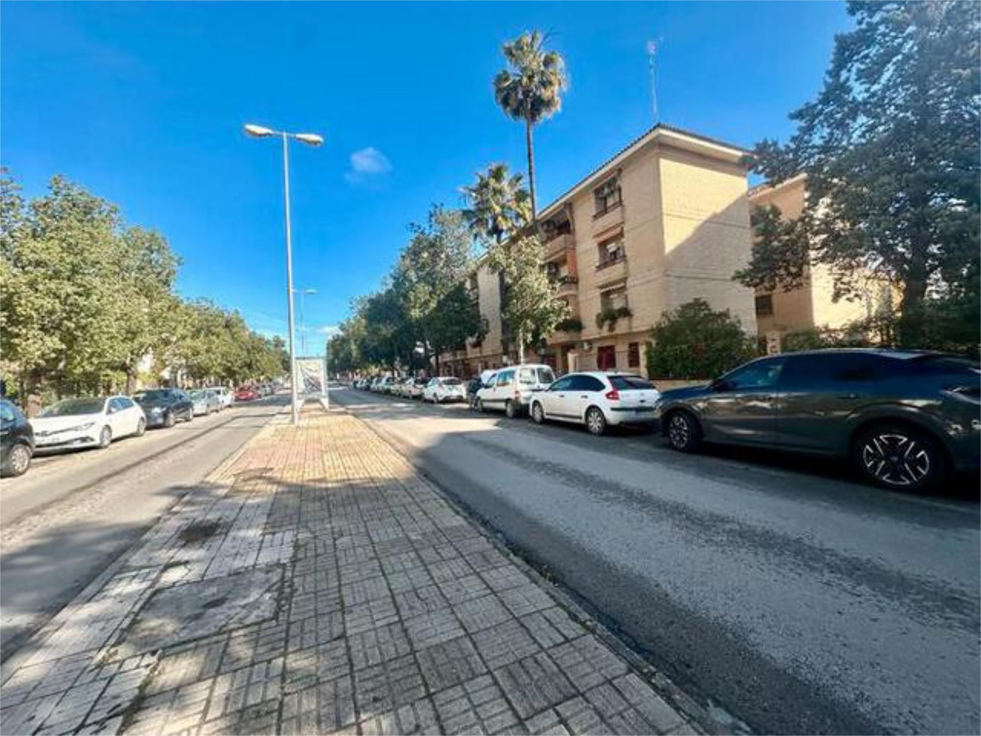 Pis de lloguer a La Plata