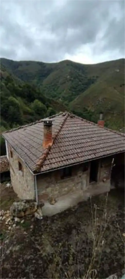 Haus oder Chalet zum Verkauf in Tineo