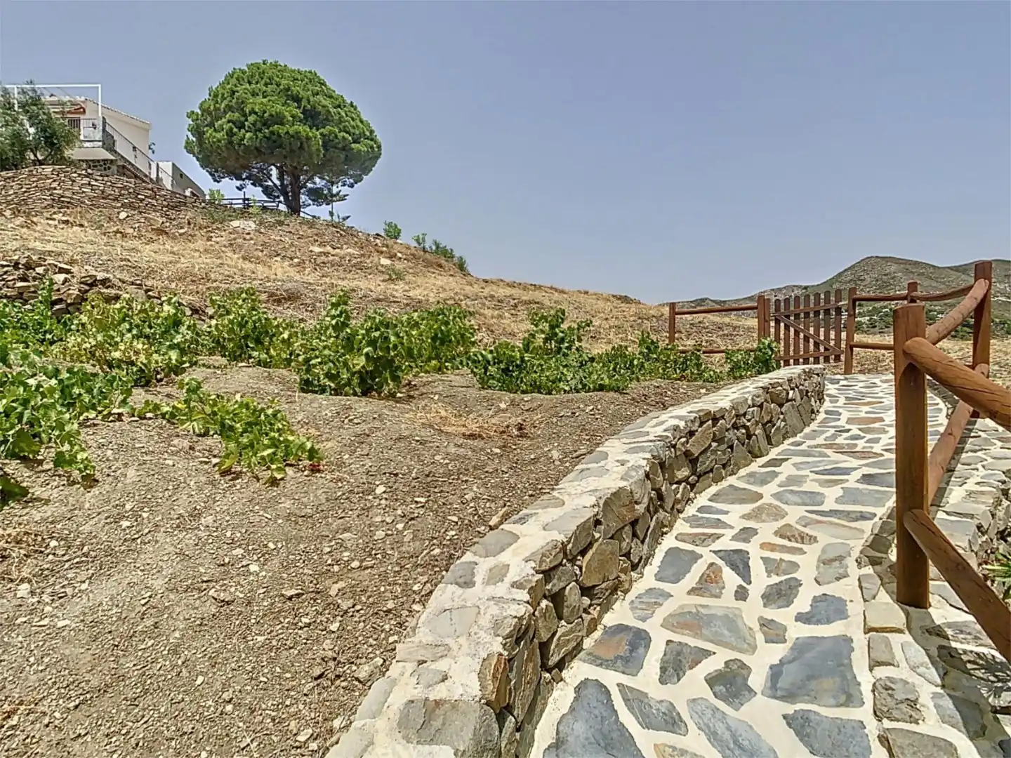 Finca rústica en venda a Camino de Benamayor, 115o, Cómpeta Finca rústica en venda en Cómpeta amb Terrassa