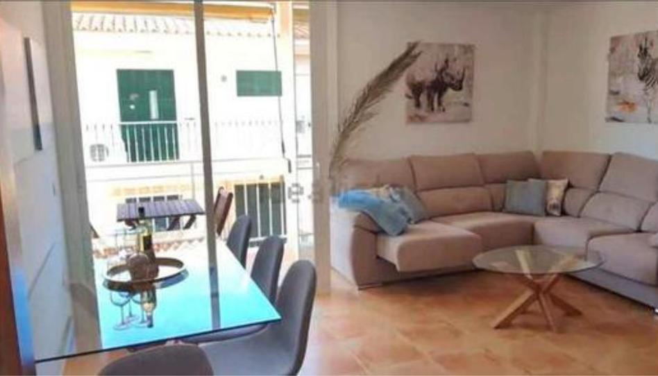 Flat to rent in Cala Ratjada, Illes Balears - image 1 Photo 1 of Flat to rent in Cala Ratjada, Illes Balears