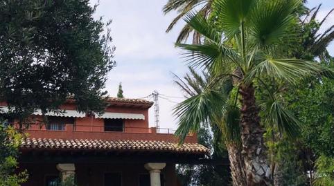 Finca rústica en venda a Partida Sol del Camp, 19, Agost, Alicante - imatge 4 Foto 4 de Finca rústica en venda a Partida Sol del Camp, 19, Agost, Alicante