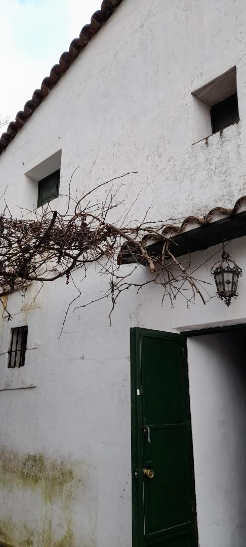 Vista exterior de Casa adosada en venda en Alájar amb Internet