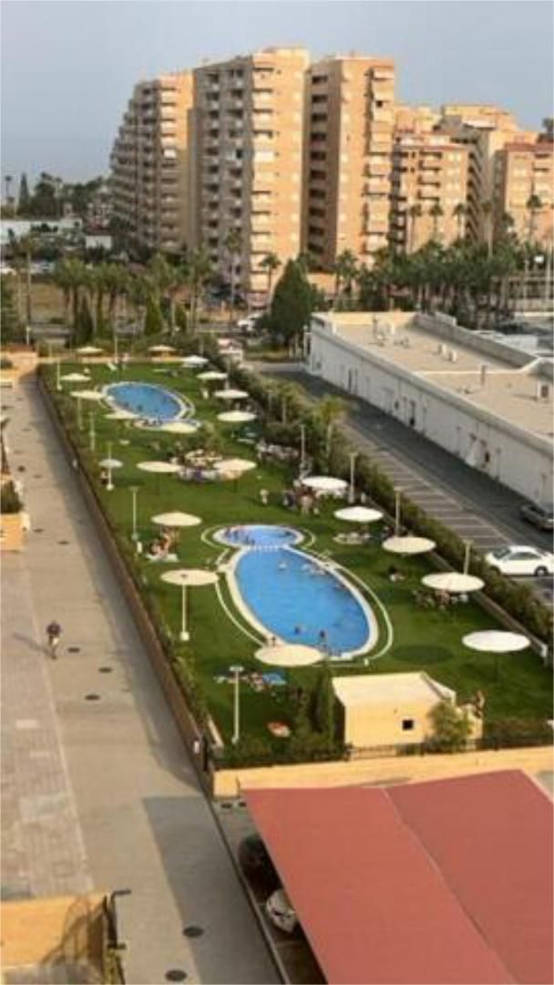 Apartment to rent in Marina Trebol - Neptuno Apartment to rent in Marina Trebol - Neptuno