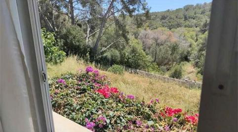 Estudi de lloguer a Sol de Mallorca, Illes Balears - imatge 2 Foto 2 de Estudi de lloguer a Sol de Mallorca, Illes Balears