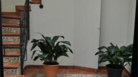 Foto 3 de Pis de lloguer a Alfalfa - Santa Cruz,  Sevilla Capital