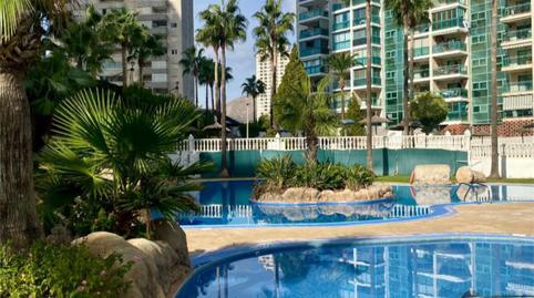 Pis de lloguer a Carrer Terral, 4, Cala Palmera - Atrium, Alicante - imatge 3 Foto 3 de Pis de lloguer a Carrer Terral, 4, Cala Palmera - Atrium, Alicante