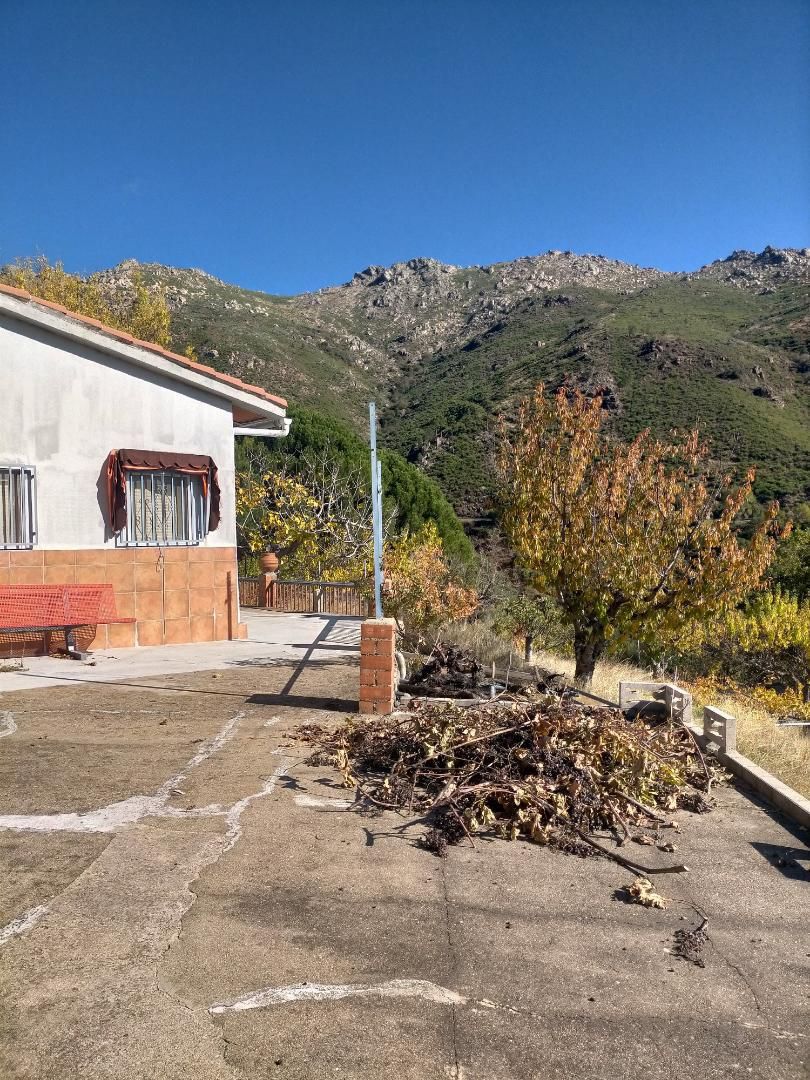 Vista exterior de Planta baixa en venda en Pedro Bernardo amb Terrassa
