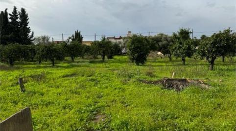 Foto 4 de Casa adosada en venda a Valdezorras - El Gordillo, Sevilla