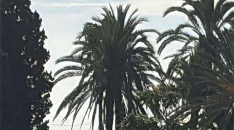 House or chalet for sale in Calle de Ramón Gómez de la Serna, 4-7, Ricardo Soriano, Marbella - image 5 Photo 5 of House or chalet for sale in Calle de Ramón Gómez de la Serna, 4-7, Ricardo Soriano, Marbella