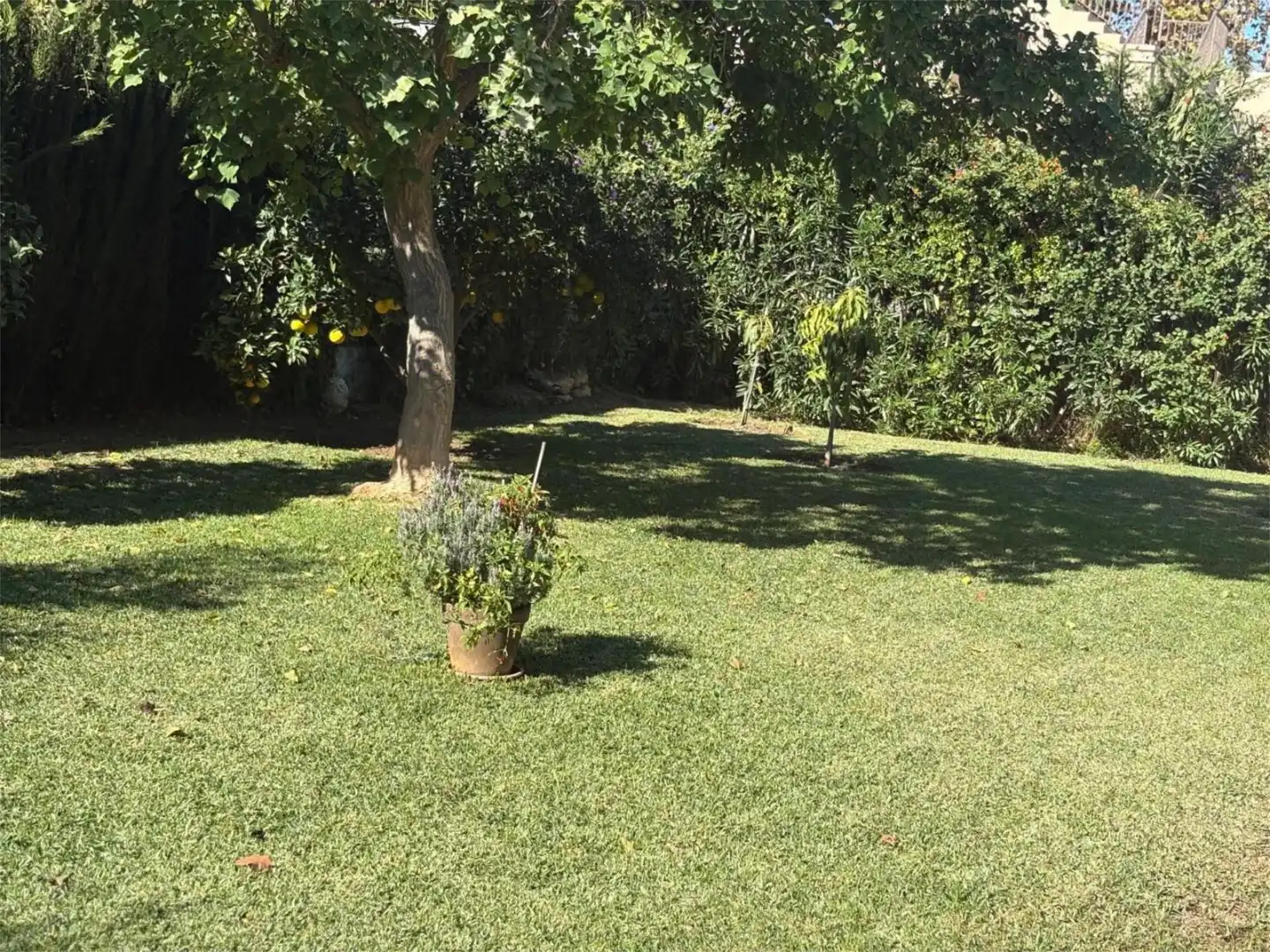 Houses for sale in Calle de Ramón Gómez de la Serna, Ricardo Soriano Garden of Houses for sale in Marbella with Private garden, Terrace and Storage room
