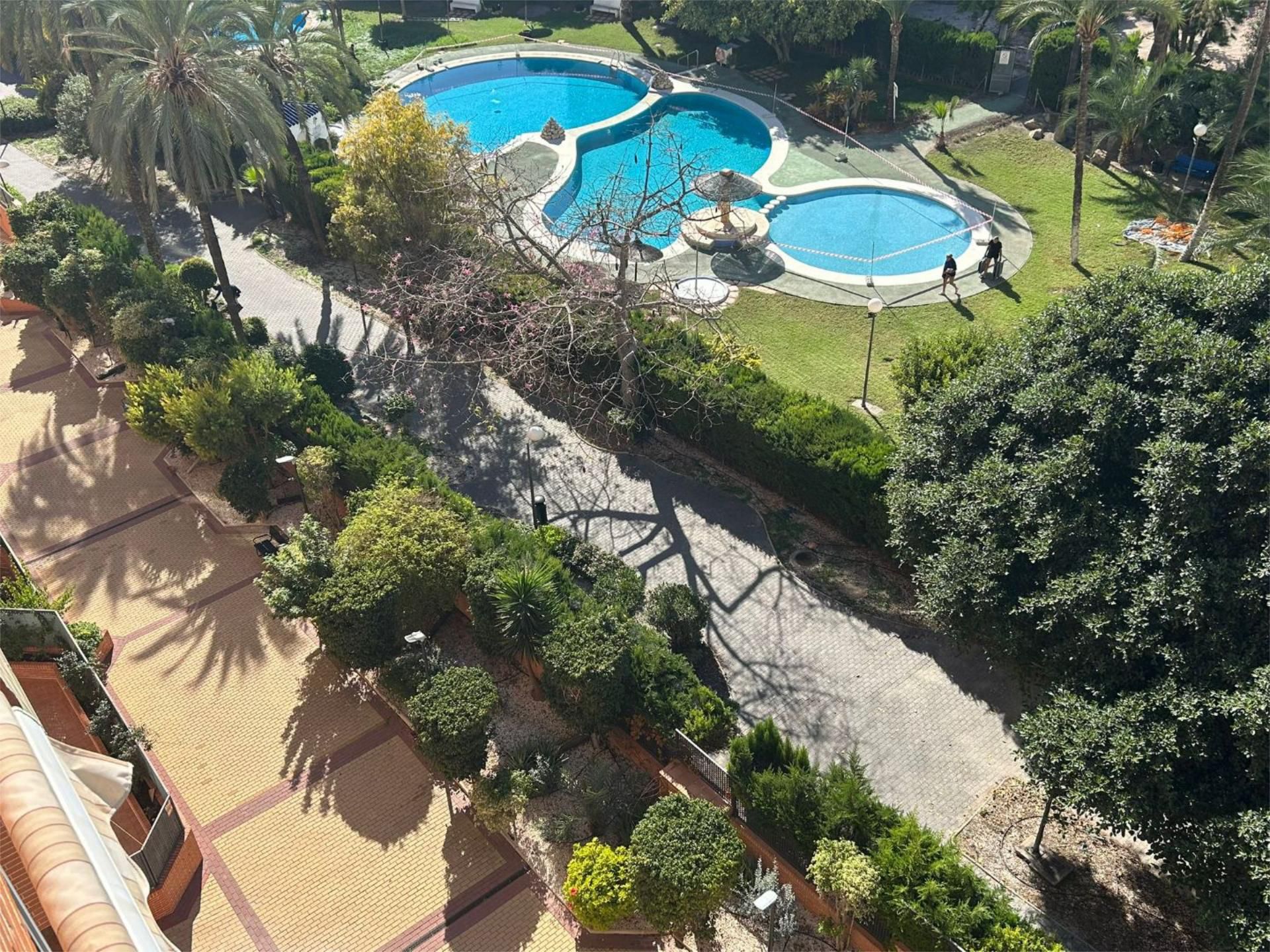 Swimming pool of Apartment to rent in Villajoyosa / La Vila Joiosa  with Air Conditioner, Terrace and Swimming Pool