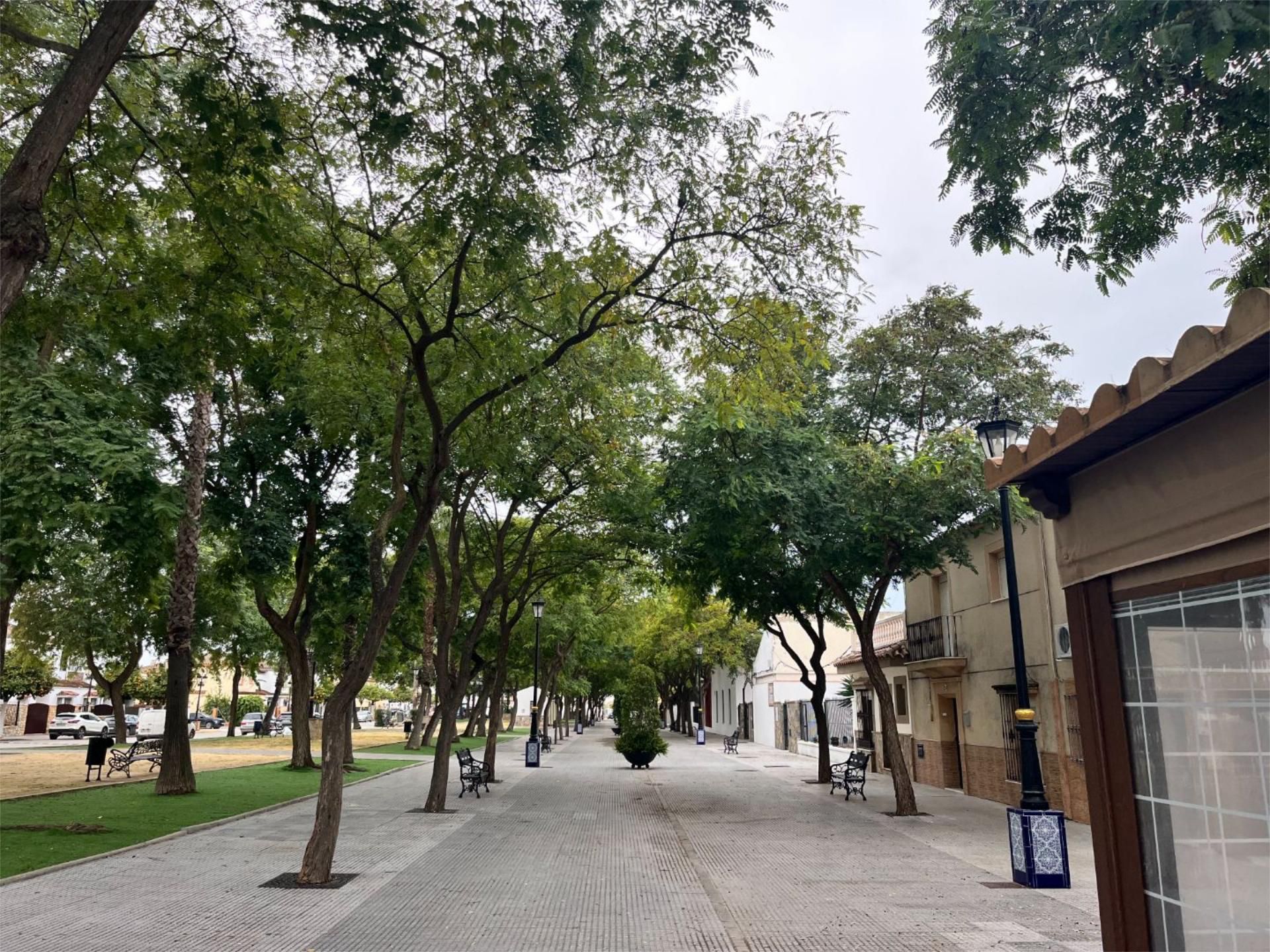 Vista exterior de Piso de alquiler en Jerez de la Frontera con Aire acondicionado, Calefacción y Amueblado