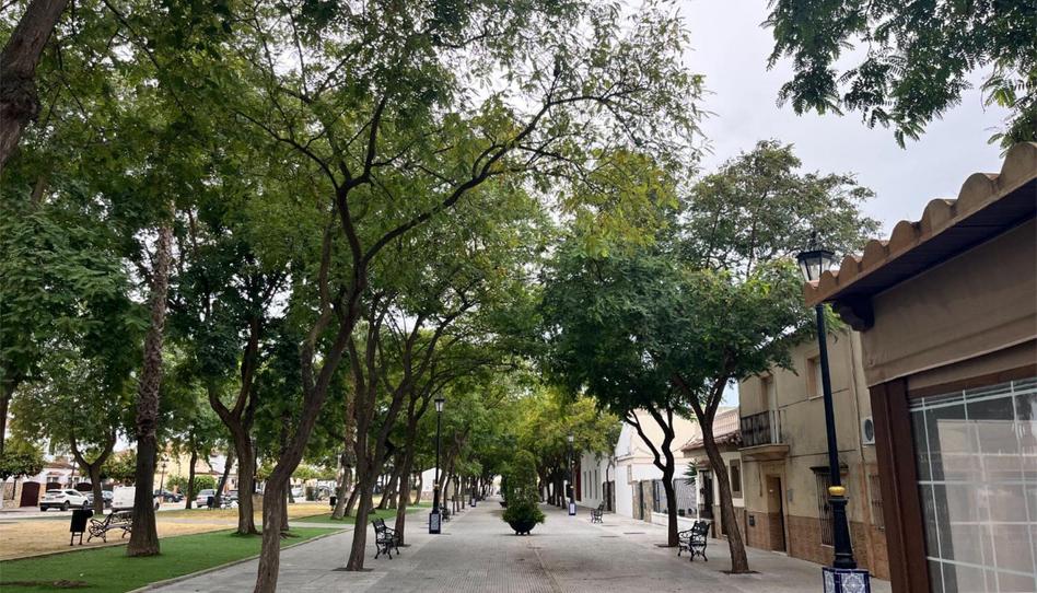 Pis de lloguer a Calle Ronda del Trobal, 18, El Rocío - La Milagrosa, Jerez de la Frontera - imatge 1 Foto 1 de Pis de lloguer a Calle Ronda del Trobal, 18, El Rocío - La Milagrosa, Jerez de la Frontera