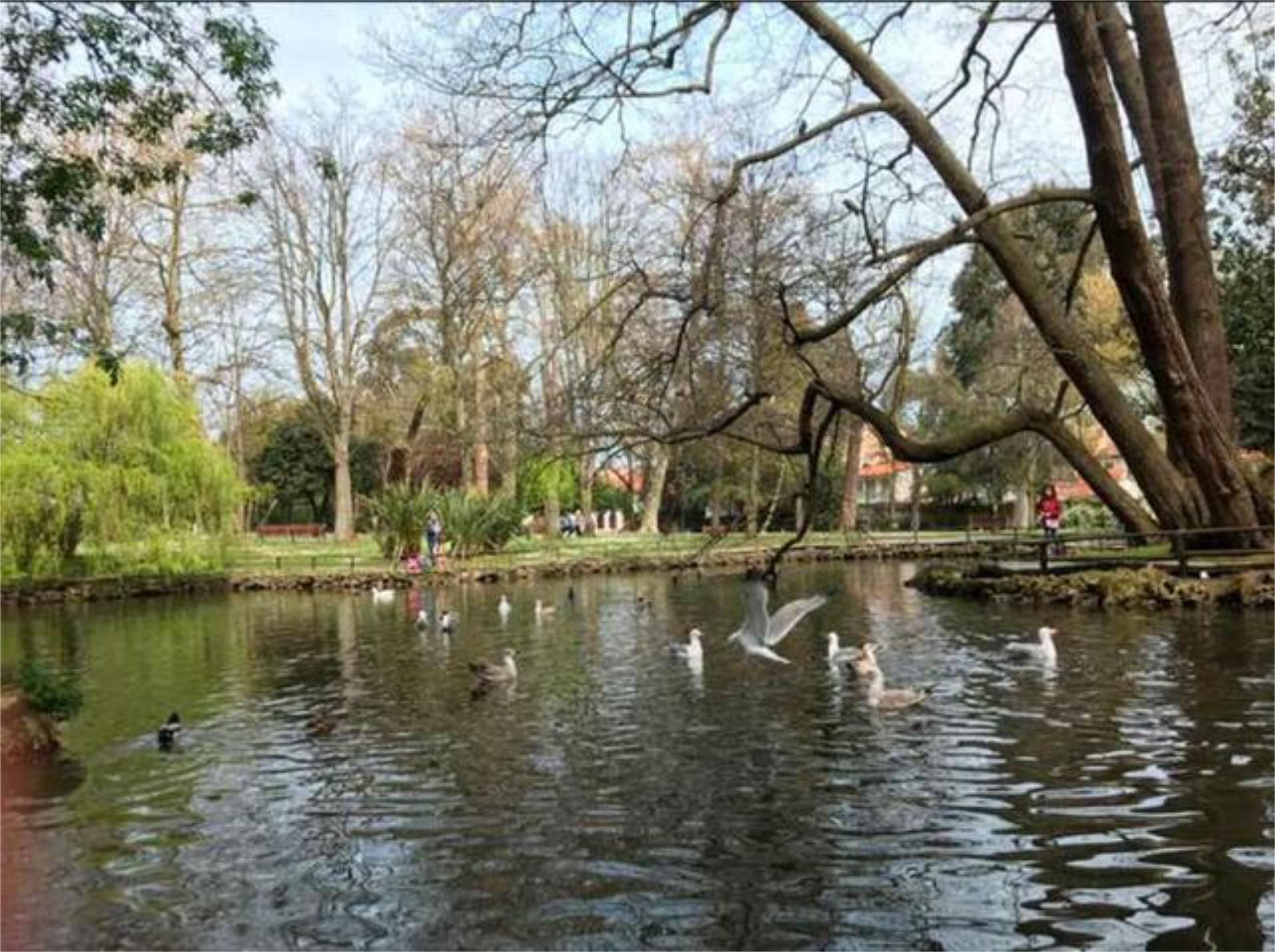 Vista exterior de Pis en venda en Avilés