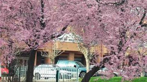 Foto 5 de Piso de alquiler en Crucero, León Capital