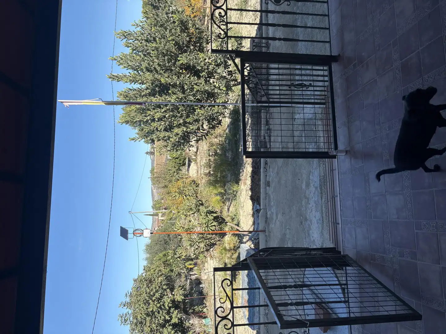 Casa o xalet en venda a Carretera Mula, 28, Mula Vista exterior de Casa o xalet en venda en Mula amb Aire condicionat, Terrassa i Balcó