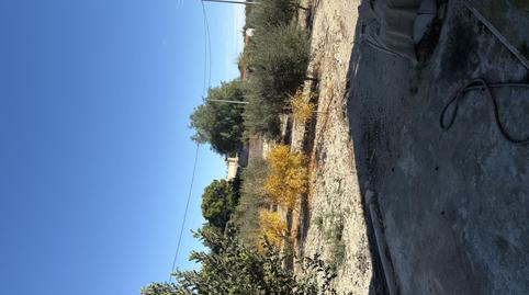 Photo 5 of House or chalet for sale in Carretera Mula, 28, Mula, Murcia