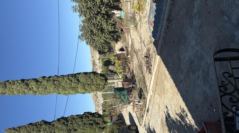 Photo 4 of House or chalet for sale in Carretera Mula, 28, Mula, Murcia