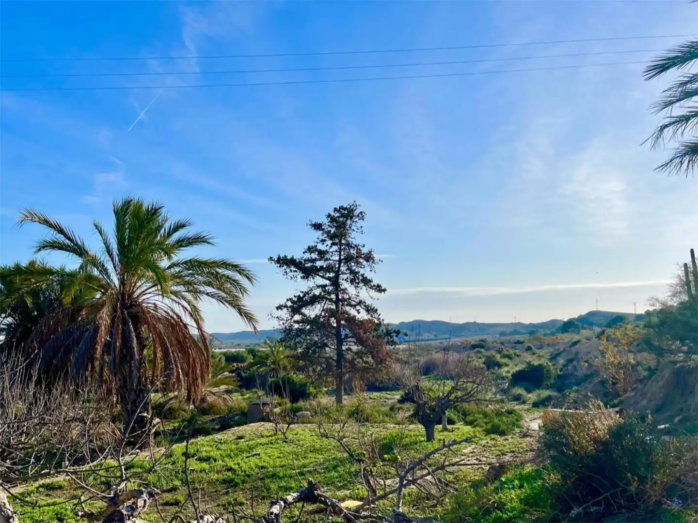 Country homes for sale in Camino Viejo de Saladas, 10, Partidas de Alicante Country homes for sale in Alicante / Alacant