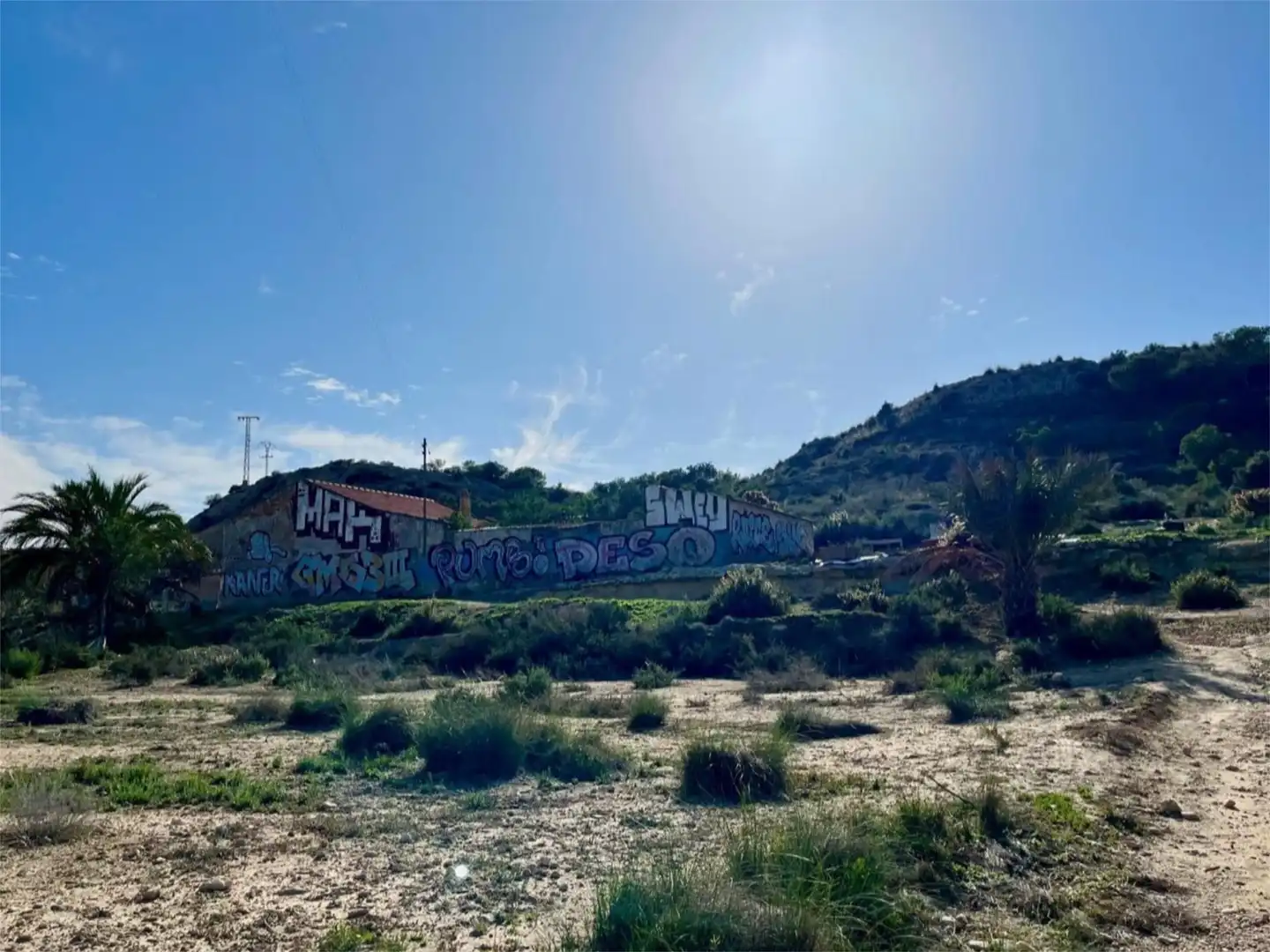 Country homes for sale in Camino Viejo de Saladas, 10, Partidas de Alicante Exterior view of Country homes for sale in Alicante / Alacant