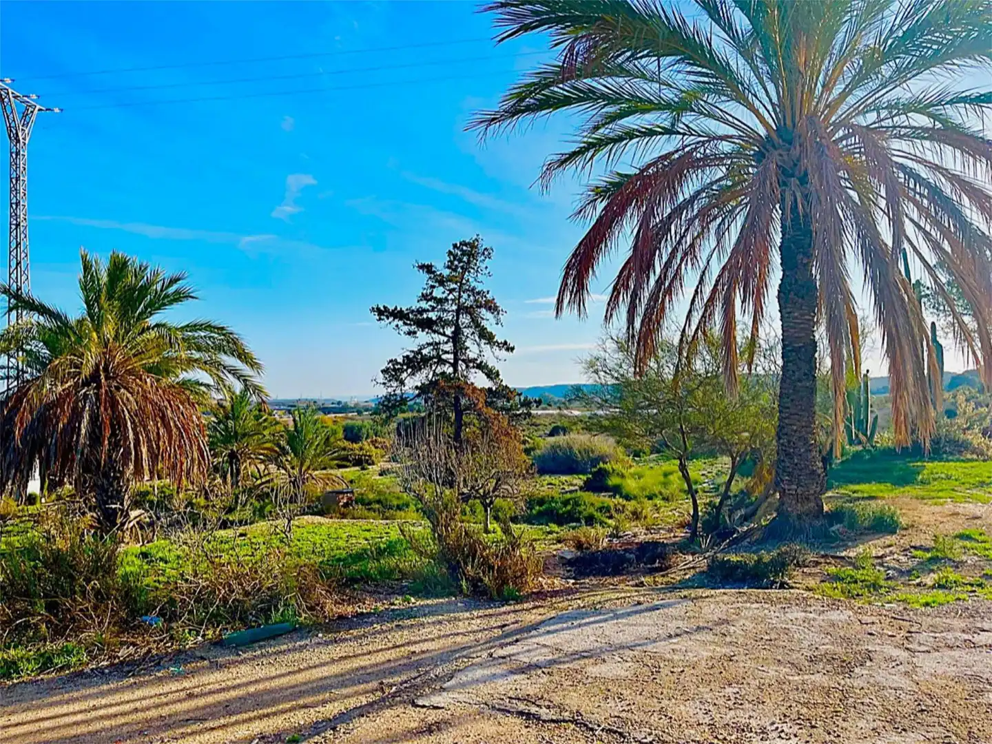 Country homes for sale in Camino Viejo de Saladas, 10, Partidas de Alicante Exterior view of Country homes for sale in Alicante / Alacant