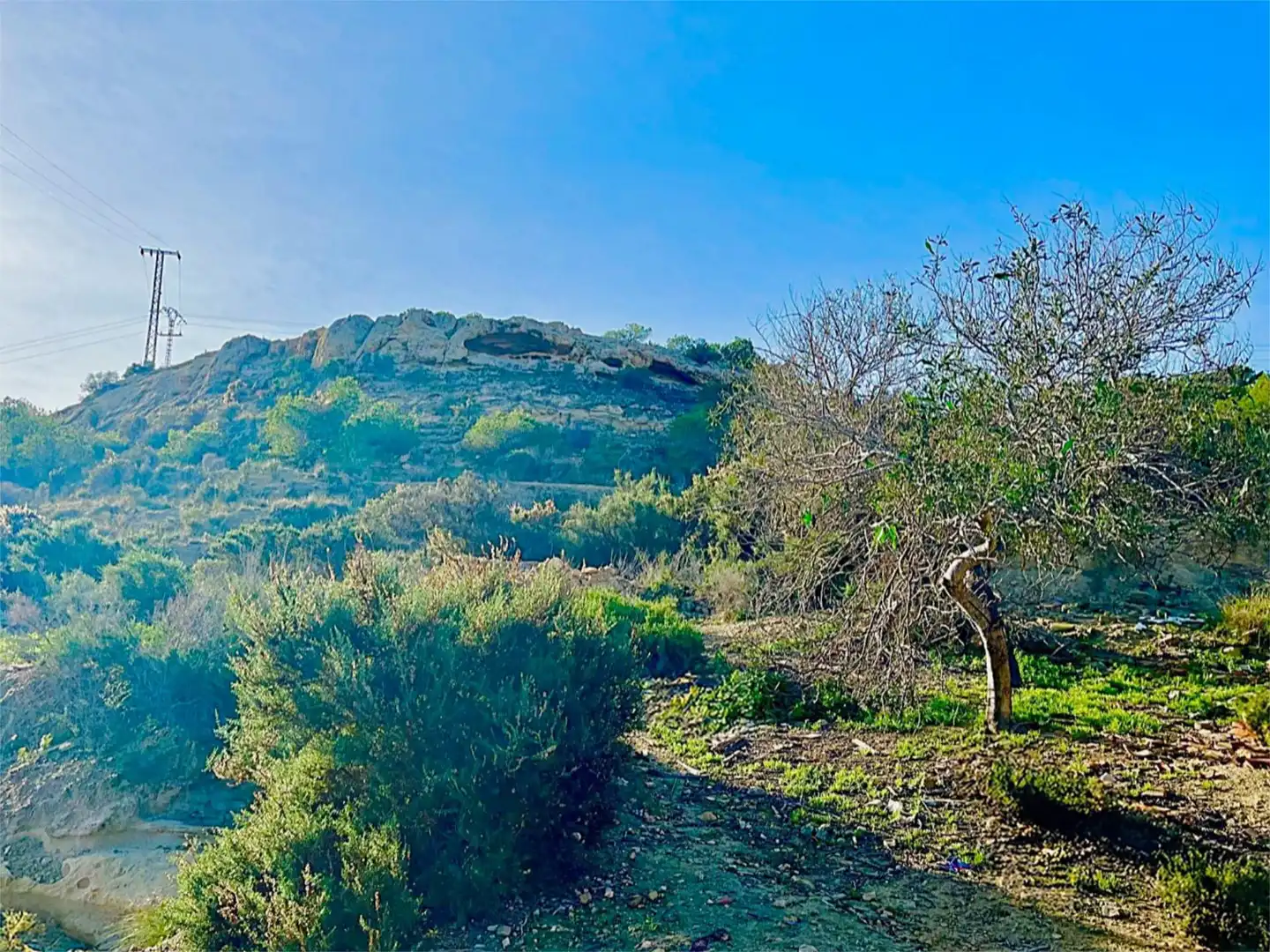 Country homes for sale in Camino Viejo de Saladas, 10, Partidas de Alicante Country homes for sale in Alicante / Alacant