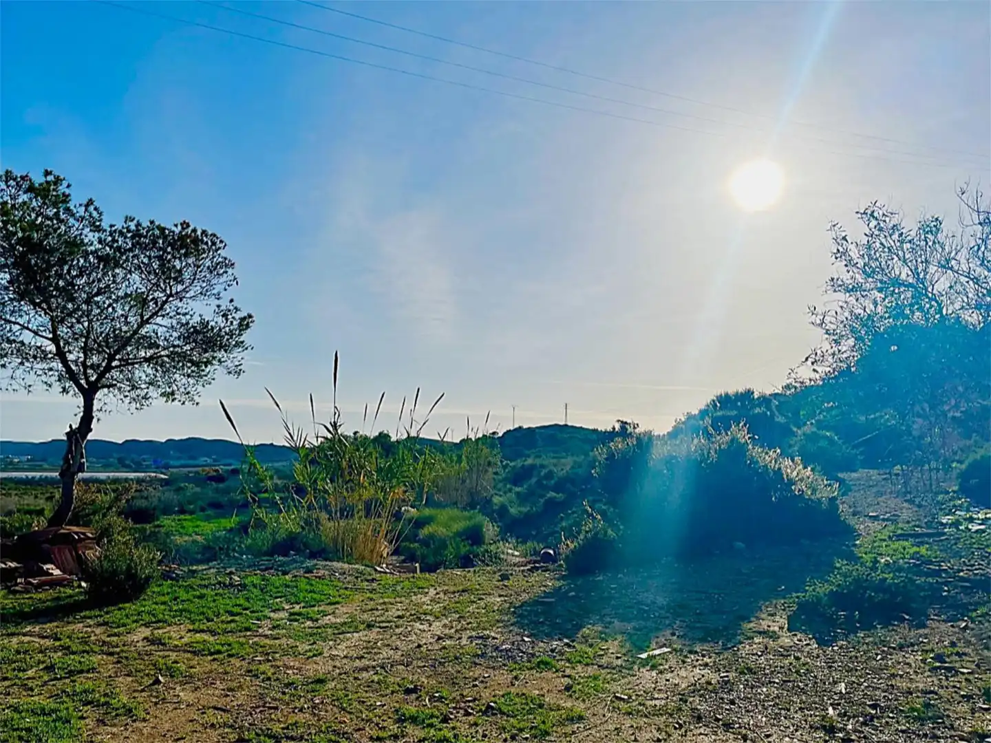 Country homes for sale in Camino Viejo de Saladas, 10, Partidas de Alicante Country homes for sale in Alicante / Alacant