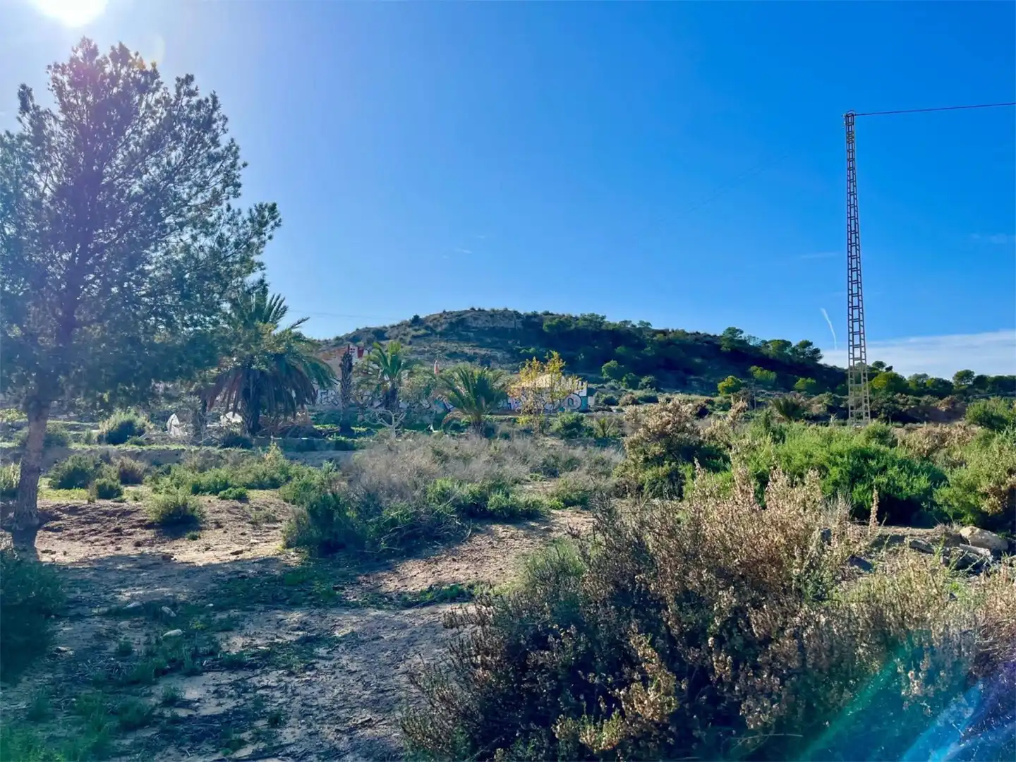 Country homes for sale in Camino Viejo de Saladas, 10, Partidas de Alicante Country homes for sale in Alicante / Alacant